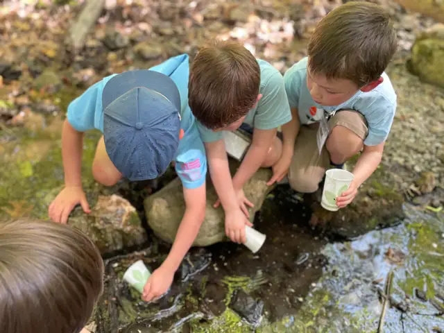 Kids crouch on rocks at a stream, scooping water with cups.