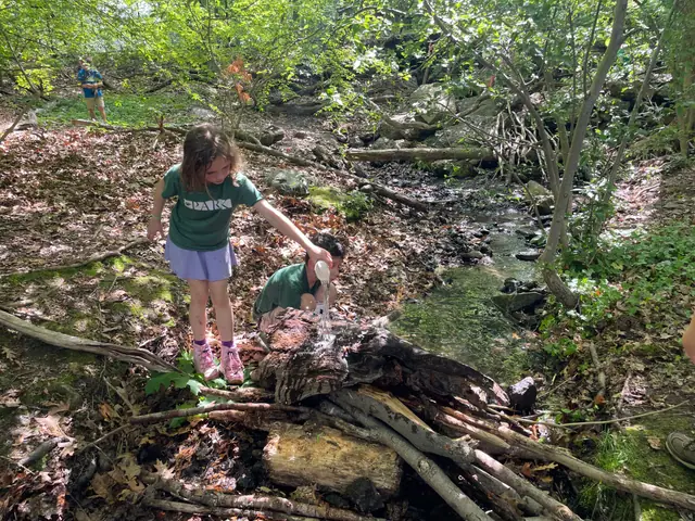 A kid steps across a stream on a fallen log.