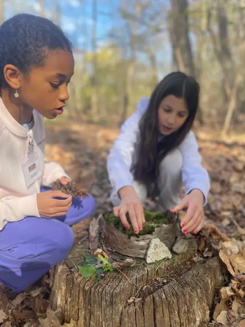Two girls build a miniature shelter on a tree stump.